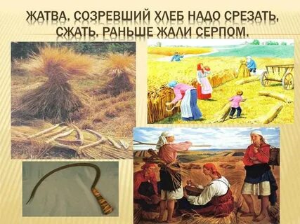 Что такое жать в литературе
