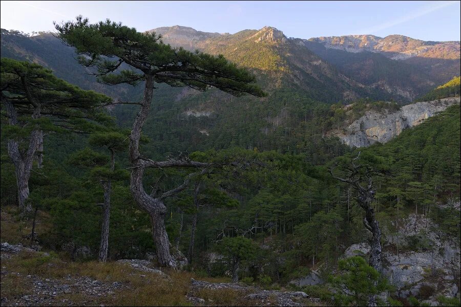 ущелье уч кош. ущелье уч-кош крым. ялта ущелье уч-кош. ущелье уч-кош крым. ущелье трех гор ялта.