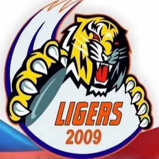 Хк 2009