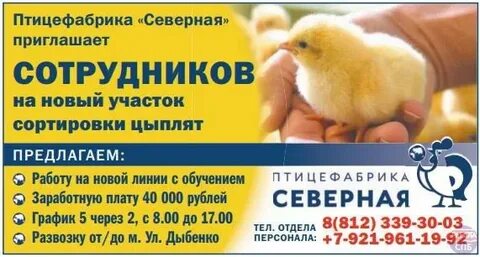График птицефабрики