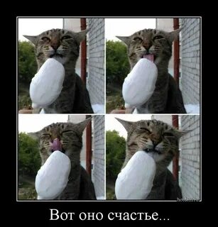 Какое нибудь лучшее видео