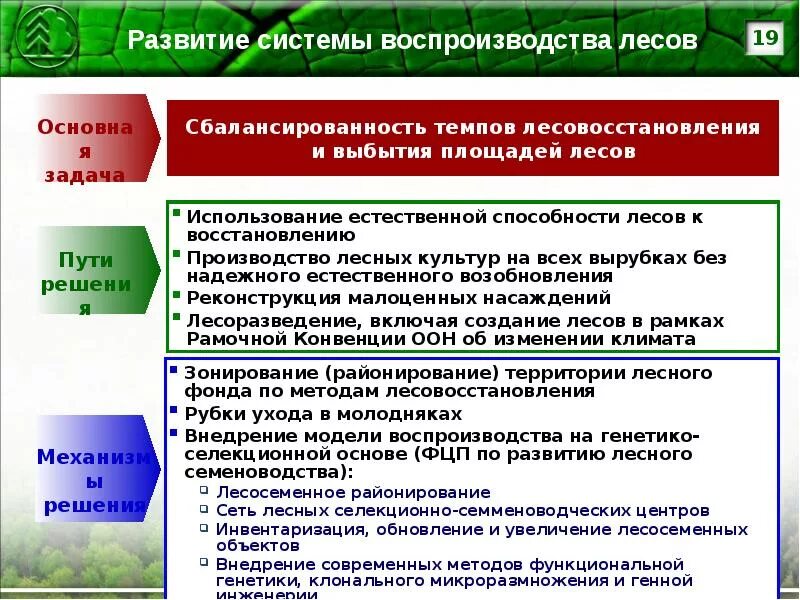 Проект организации и ведения лесного хозяйства Организация Охраны Лесов от Пожаров