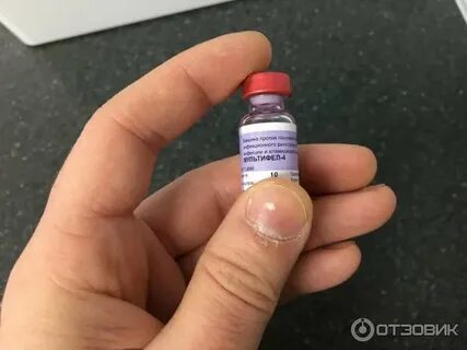 Прививка рабифел