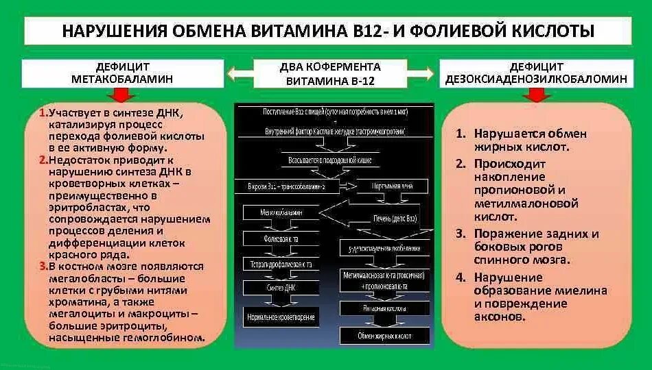 Дефицит железа, витамина в12, фолиевой кислоты;. Витамин в12 с фолиевой кислотой. Нарушение обмена витаминов. Дефицит витамина в12 и фолиевой кислоты.