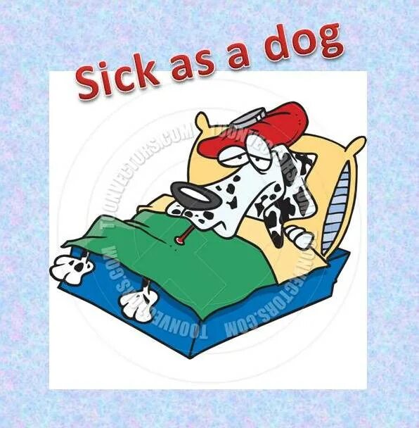 Переведи на русский dog day. Sick as a Dog. Sick as a Dog идиома. To be sick as a Dog. As sick as a Dog.