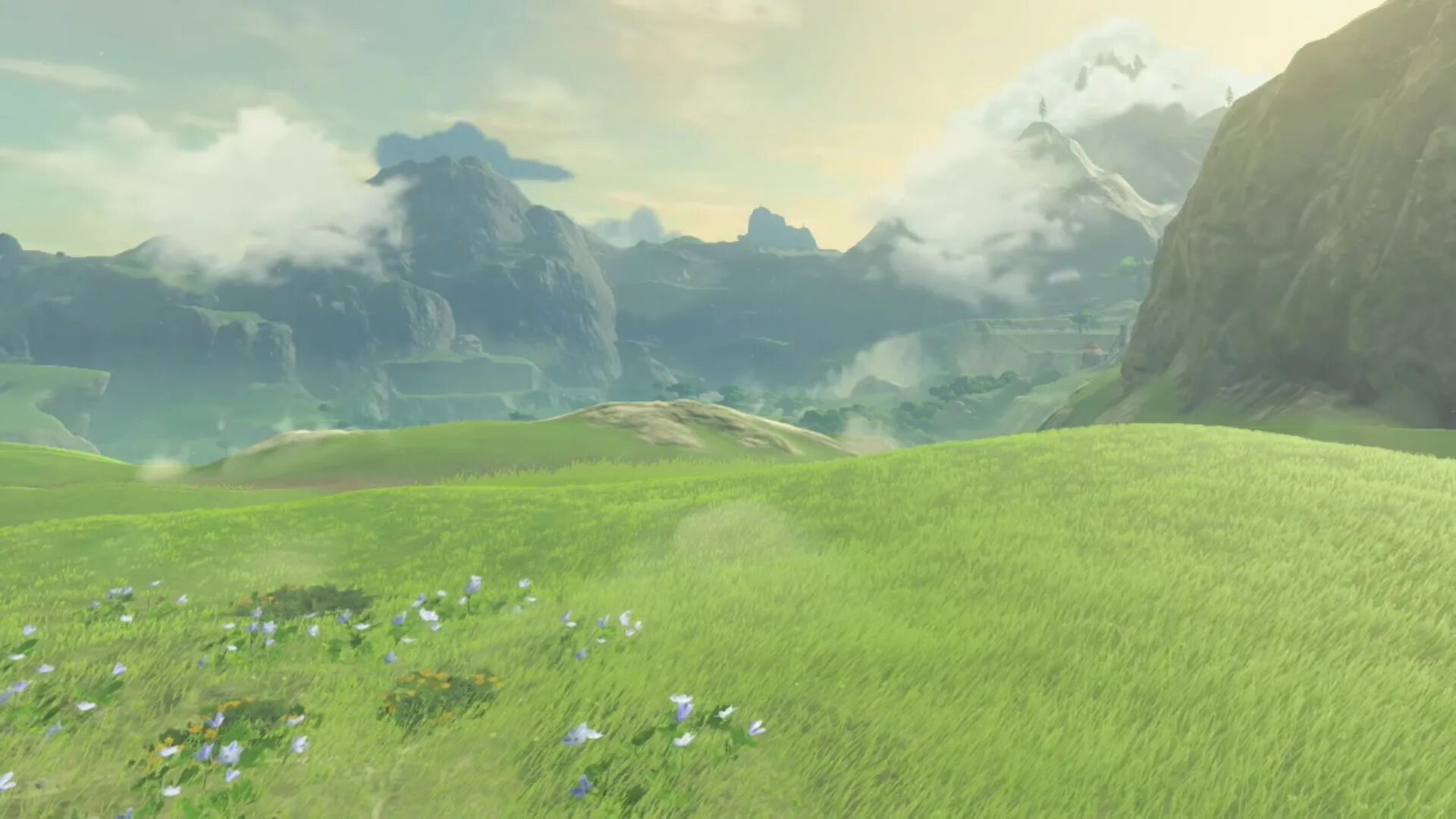 Zelda мир. Хайрул Зельда пейзаж. The Legend of Zelda Breath of the Wild пейзажи. Zelda Breath of the Wild трава. Zelda Breath of the Wild фон.
