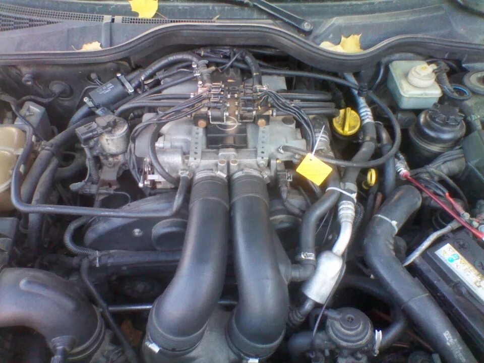 Омега б 2.5 v6