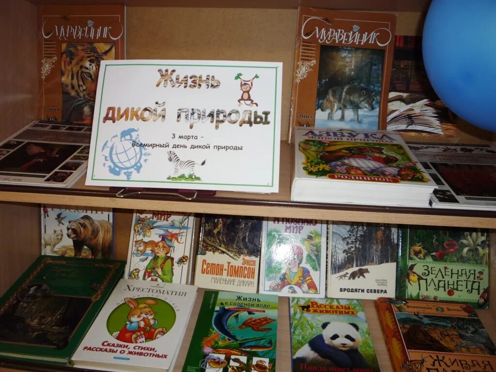 Название выставки о природе. Книжная выставка о дикой природе. Всемирный день дикой природы в библиотеке. Книжная выставка ко дню дикой природы. Всемирный день дикой природы выставка в библиотеке.