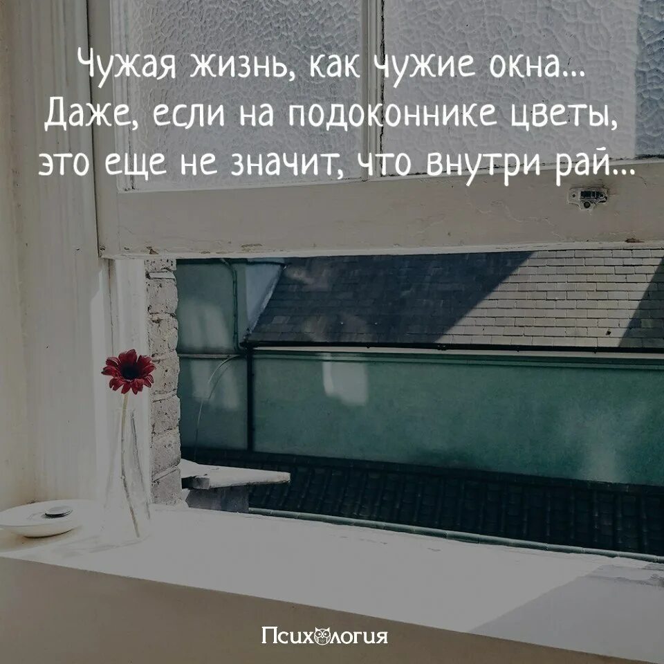 Жить в чужой квартире. Чужая жизнь как чужие окна. Чужие окна. Окно для фразы. Чужие окна высказывания.
