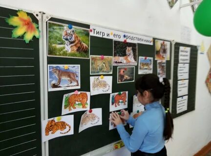 Урок эколята молодые защитники природы