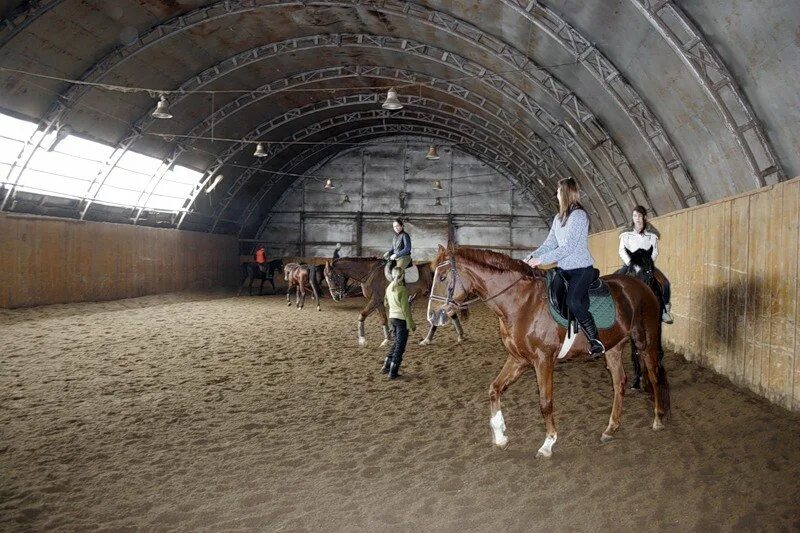 Конно спортивная улица. КСК Аллюр. Конюшня Аллюр. Конюшня КСК Аллюр. Дачный манеж конно-спортивный комплекс Чулково.