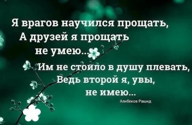Читать научи меня прощать полностью. Прощение врага. цитаты о прощении врагов. я врагов научился прощать. я врагов научился прощать а друзей я прощать не умею.