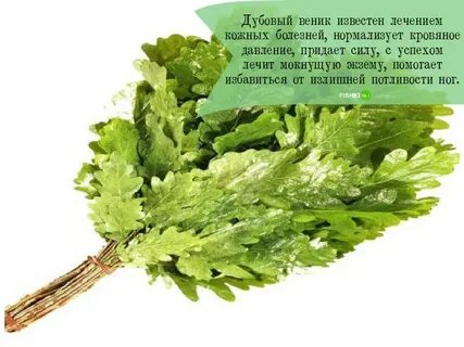 Дубовый жар