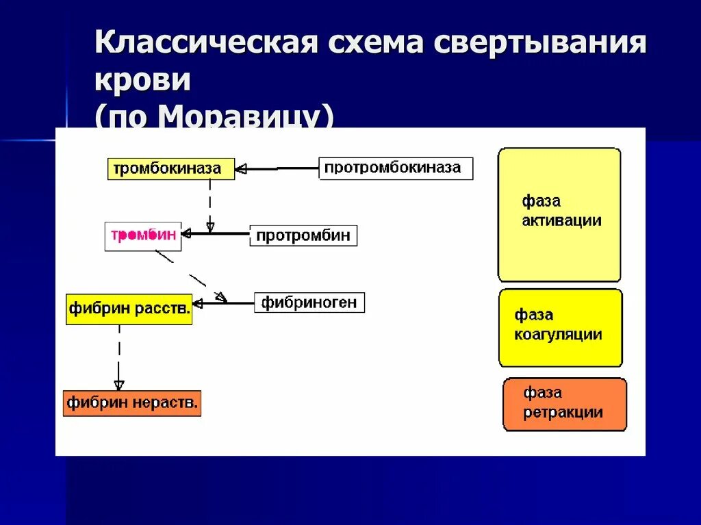 Схема свертывания крови образование сгустка. Схема процесса свертываемости крови. Основные этапы процесса свертывания крови схема. Механизм свертывания крови этапы. Изменение свертывания крови