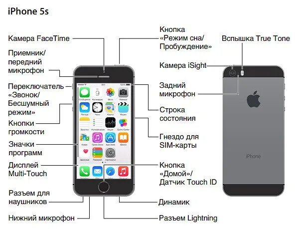 Как называется функция в телефоне. Схема устройства айфона. Из чего состоит iphone 6s. Из чего состоит айфон 5. Схема айфона 5s изнутри.