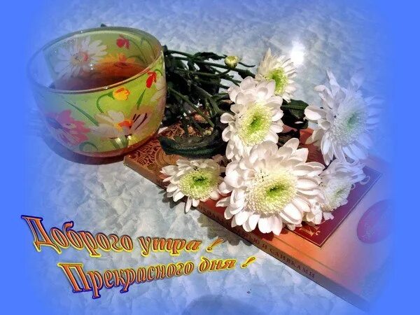 Прекрасного ясного утра и доброго дня