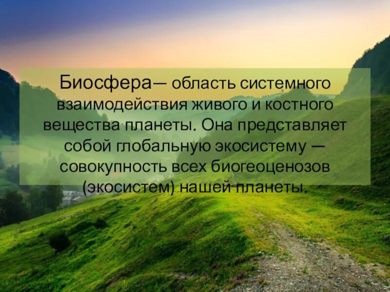 Биосфера и человек 11 класс биология. Биосфера совокупность экосистем. Биосфера Глобальная экосистема. Биосфера это совокупность всех биогеоценозов. Совокупность всех биогеоценозов планеты это.