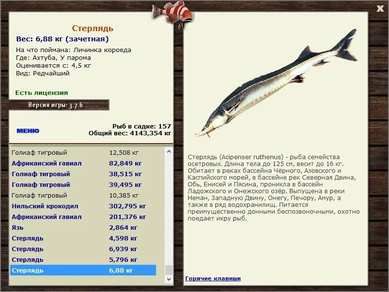 6. Ветреный плес русская рыбалка 3. Русская рыбалка 3 база озеро. Русская рыбалка 3 карпы. Рыбы русской рыбалки 3.