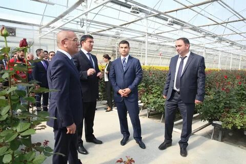 Погода в шамкире
