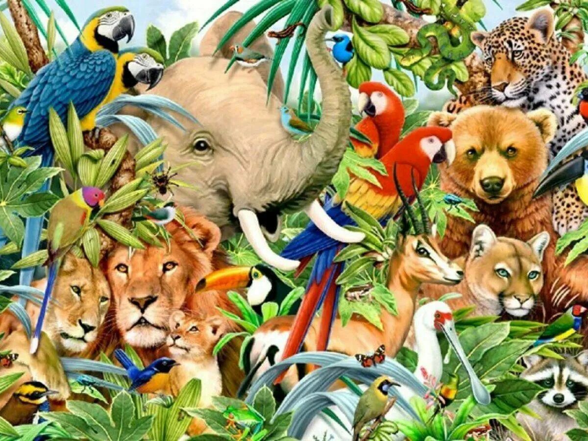 Развлечение в мире животных. Много зверей. Много разных животных. Мир животных. Много животных на одной картинке.