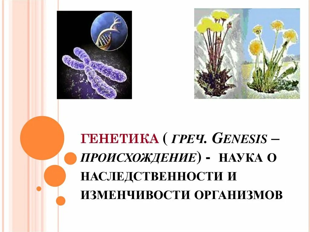 Урок генетика наука о наследственности и изменчивости. Генетика. Генетика это наука о. Генетика наука о наследственности и изменчивости организмов. Генетика как наука презентация.