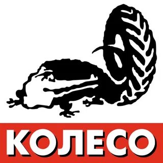 Koleso bonusov