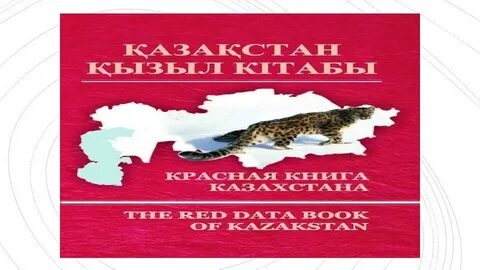 Порно әдемі брюнетками бар өкшелі