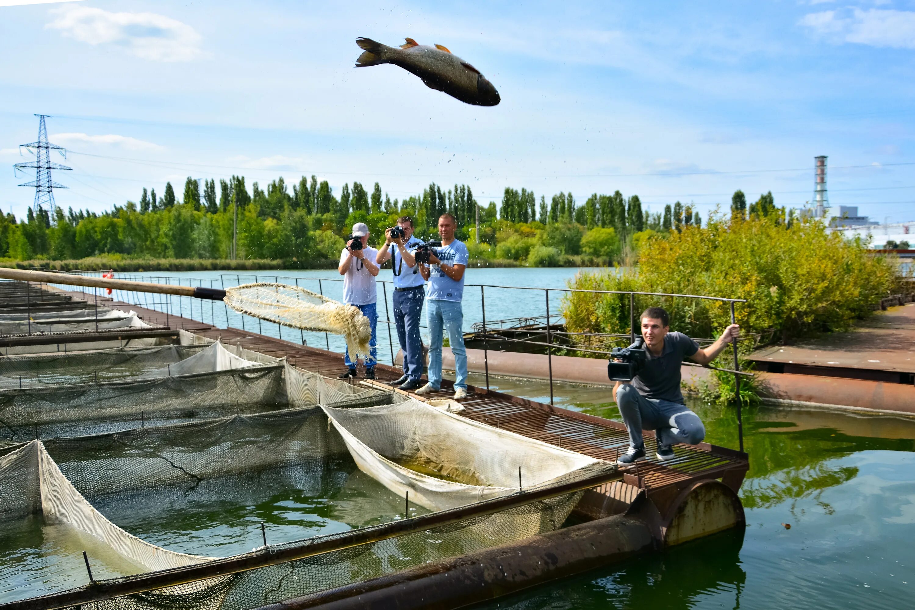 Рыбалка аэс. Курская АЭС водохранилище. Пруд охладитель Курской АЭС. Водоем охладитель Курской АЭС. Курское водохранилище Курчатов.