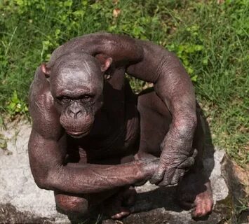 Skin ape