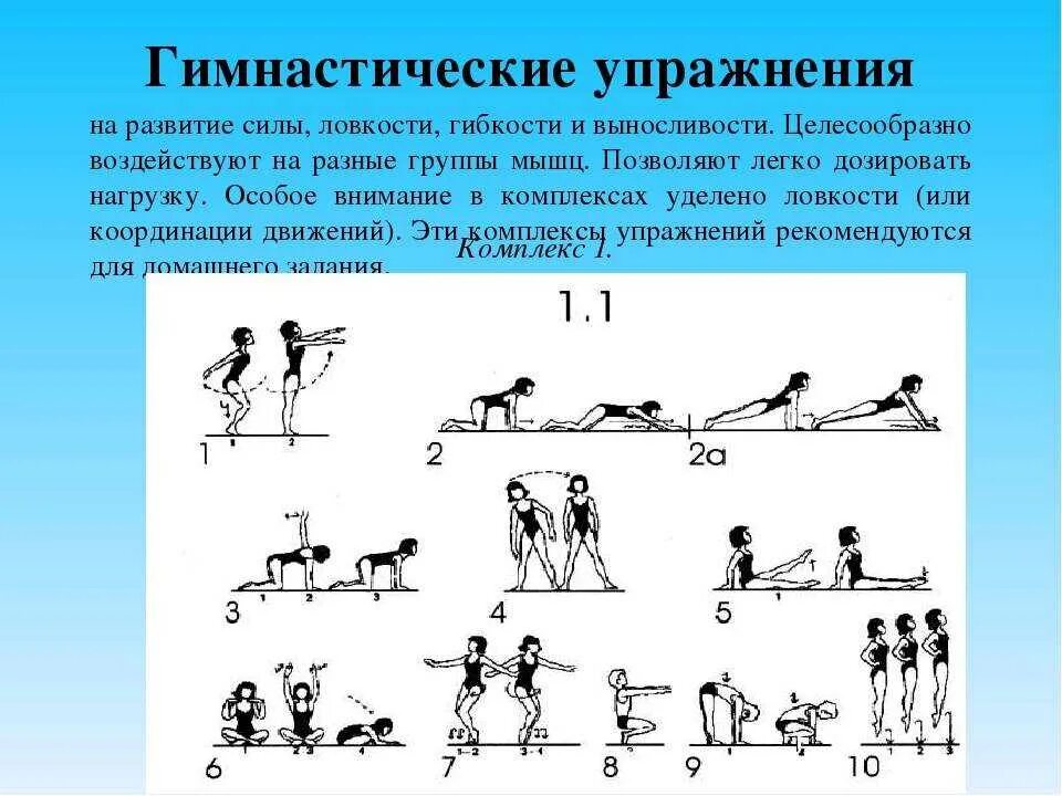 Комплекс упражнений для общего физического развития. Упражнения для физического развития. Упражнения для развития силы. Упражнения для развития ловкости. Силовые упражнения для развития гибкости.