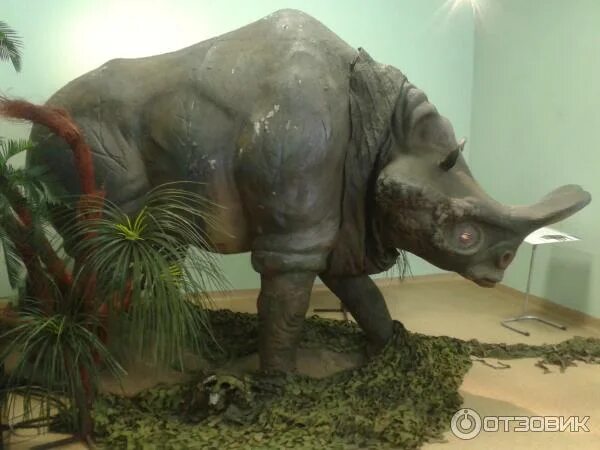 Музей шадринск гиганты ледникового периода. Выставка движущихся гигантов ледникового периода. Музей шадринск гиганты ледникового периода. Планетарий планета динозавров. Гиганты ледникового периода выставка мегатерий.