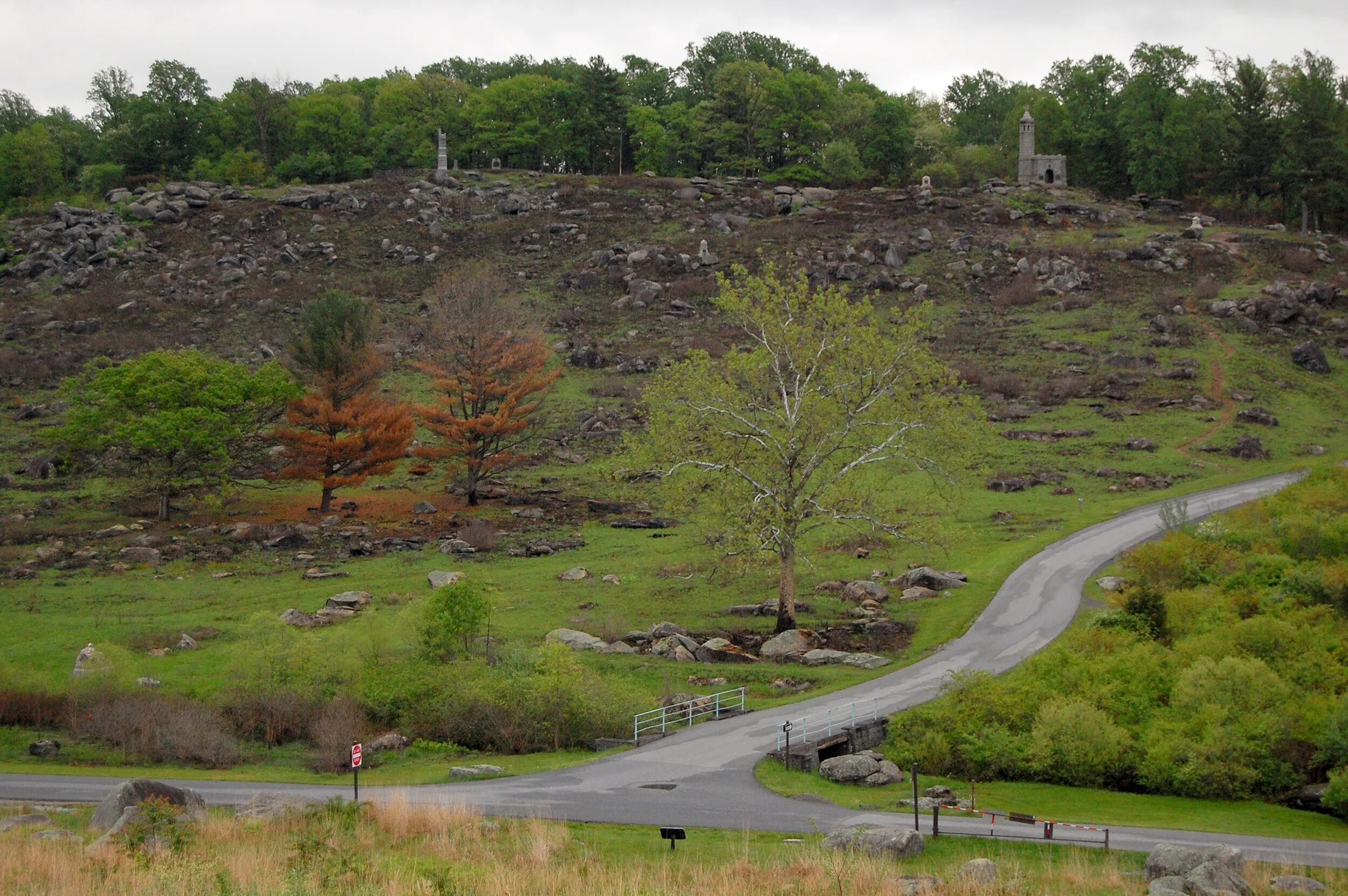 Rounding top. Hawk Ridge Island. Hawk Ridge Elementary USA photo.