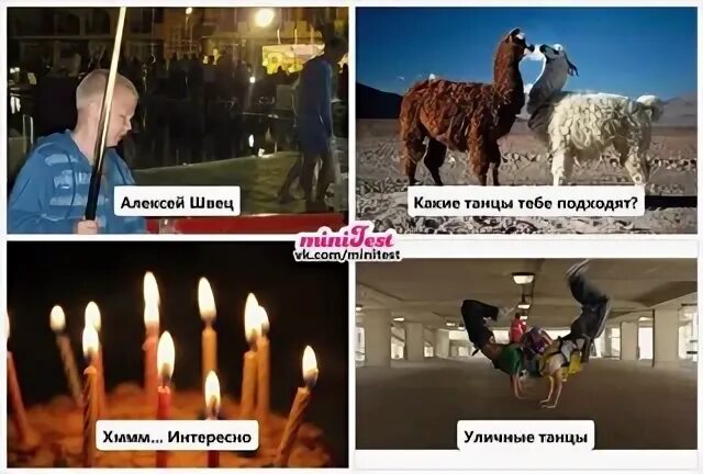 9 швец. 9 швец