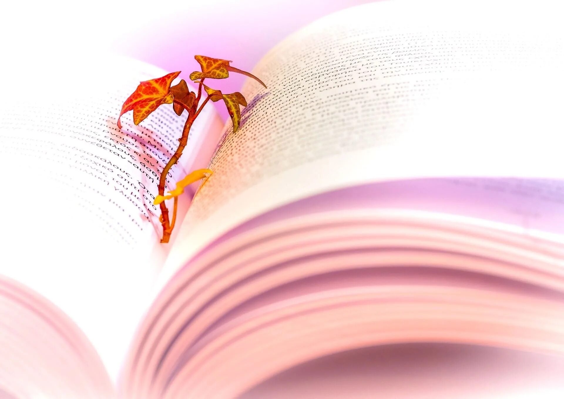 поэт и поэзия. фон для презентации поэзия. фон праздник книги. темы детской поэзии. открытка с юбилеем библиотеки.