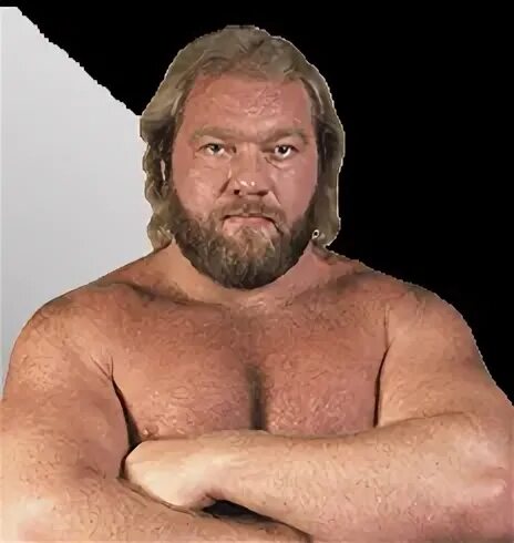 Big john. Джон стадд. большой джон стадд. big john studd. шон стадд сын джона.