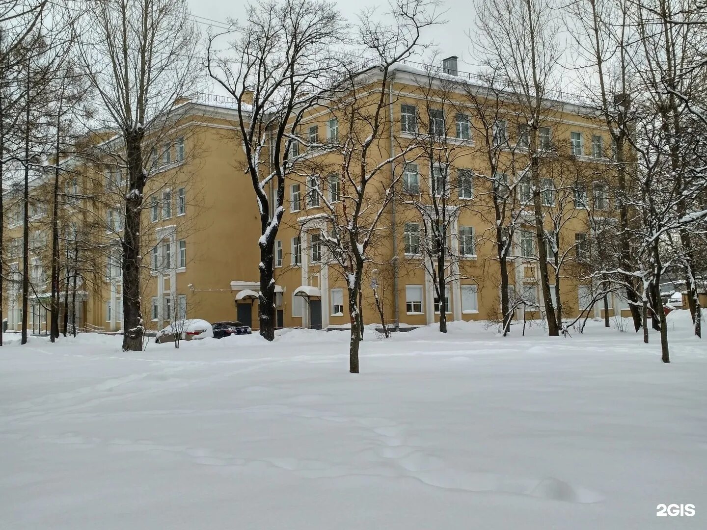 Школа 2 приморский район. Школа 106 Приморского района. Средняя общеобразовательная школа 106 Сердобольская ул 50-52. 106 Школа Сердобольская улица. Школа 106 Приморского района кабинет 228.