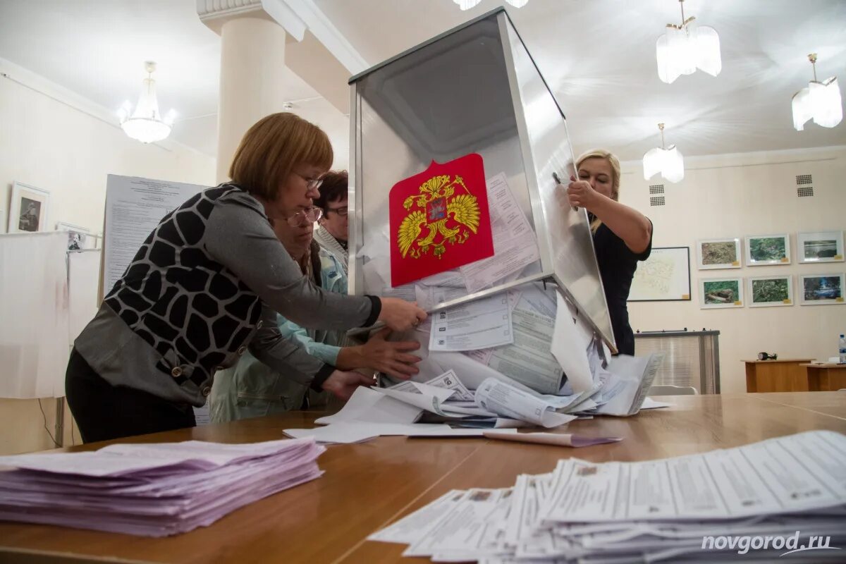 Выборы Новгородская область. Выборы суд. Выборы признаются недействительными. Оспаривание результатов выборов. Выборы глав субъектов рф