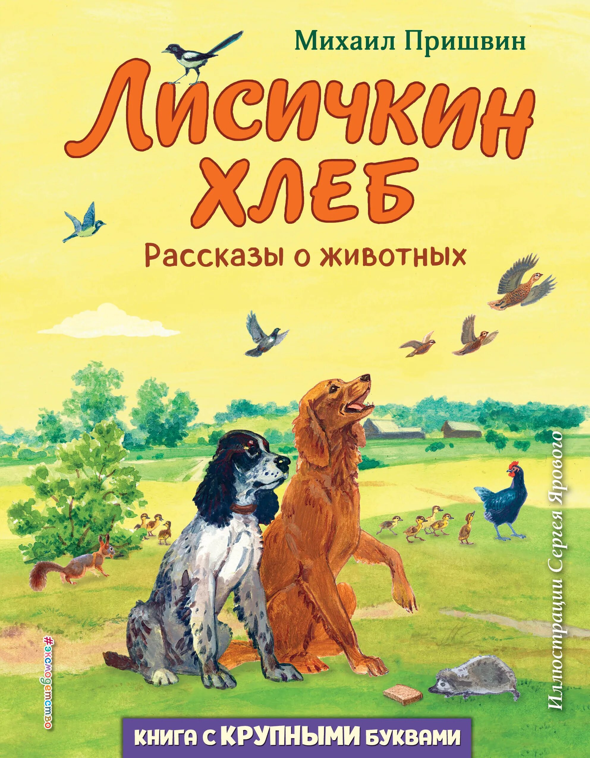 Пришвин о животных 5 класс. Книга пришвина лисичкин хлеб. произведение михаила пришвина лисичкин хлеб. авторы произведений о животных.