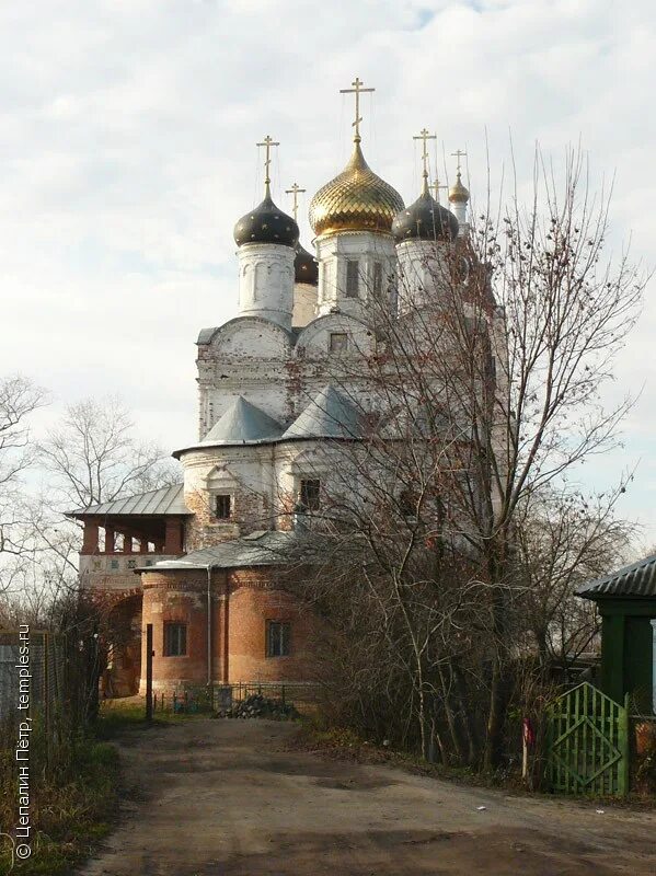 фаустово отдых