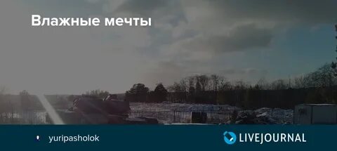 Влажные мечты