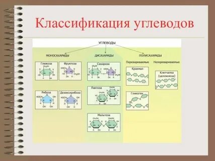 Лабораторная работа 6 класс биология углеводы