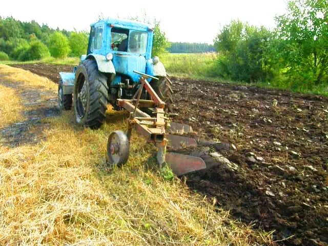 На какой передаче пахать. Трактор МТЗ 80 С плугом. МТЗ 82 пахота. МТЗ-50 С плугом. МТЗ 80 на пахоте.