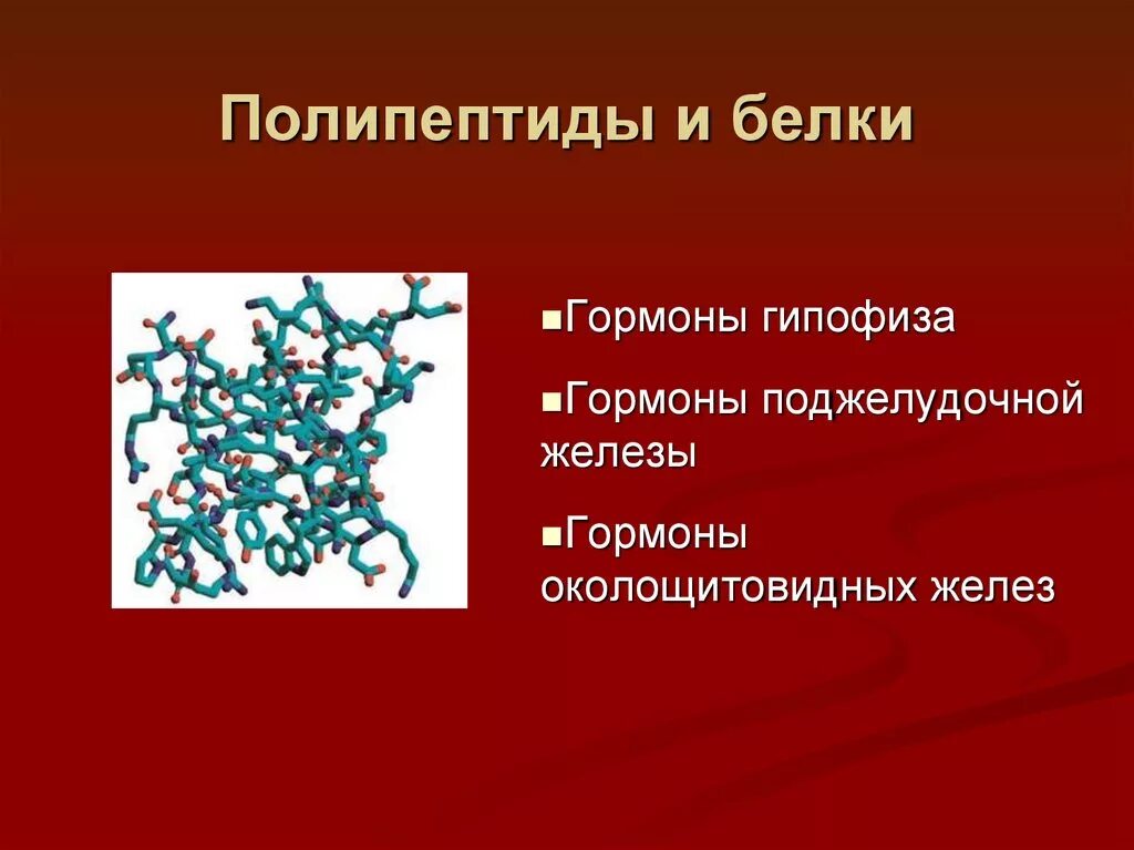 Белково пептидные гормоны. Полипептиды. Полипептидные гормоны. Белок полипептид.