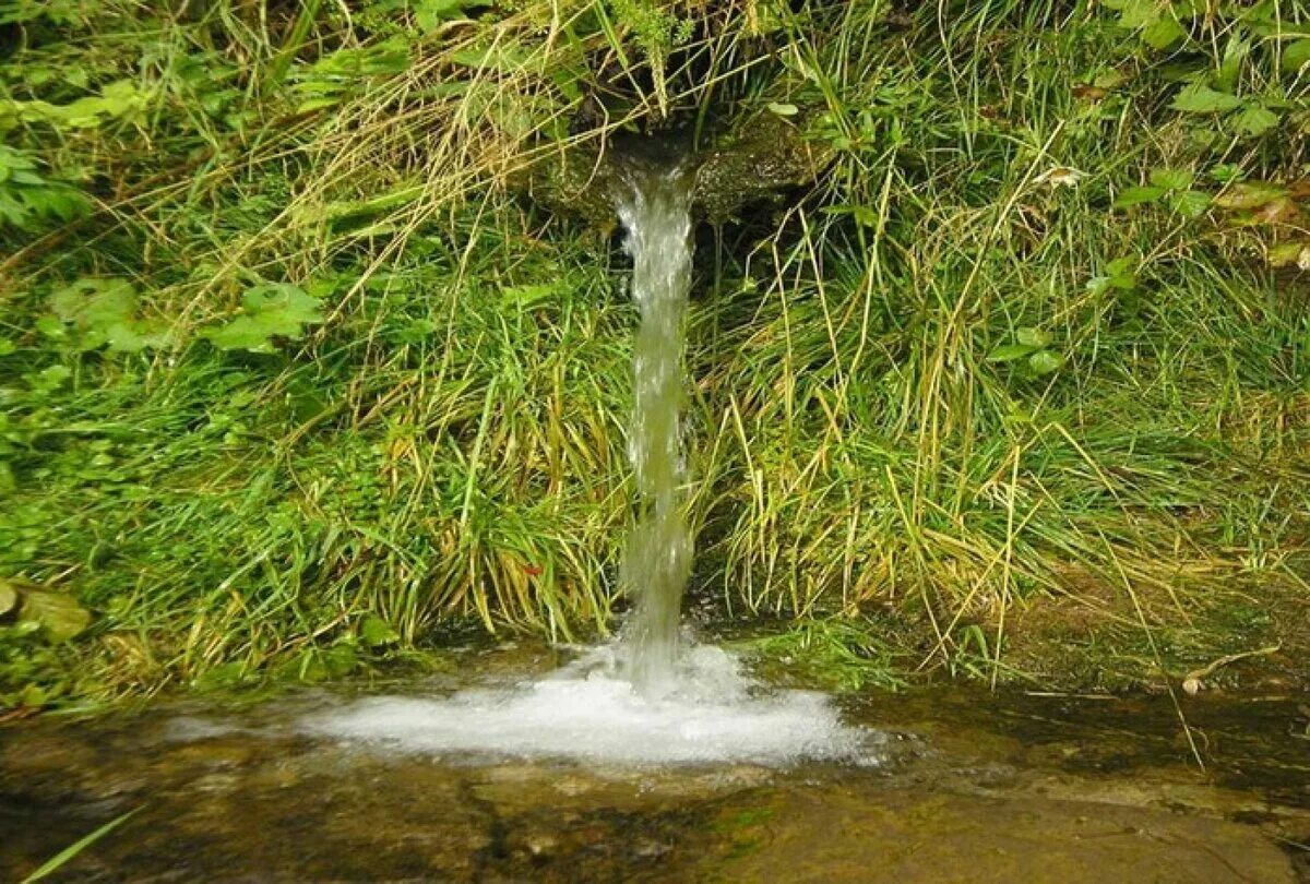 Родниковая вода вода родника. Родник Родничок. Родники Удмуртии. Родник Удмуртии. Ключ ручей Родник.