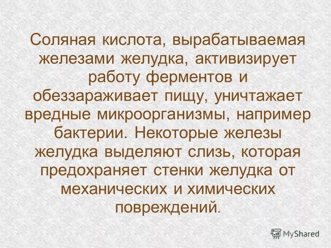 соляная кислота вырабатывается. железы, вырабатывающие кишечный сок. роль соляной кислоты в пищеварении. функция соляной кислоты в желудке соке. соляная кислота вырабатывается.