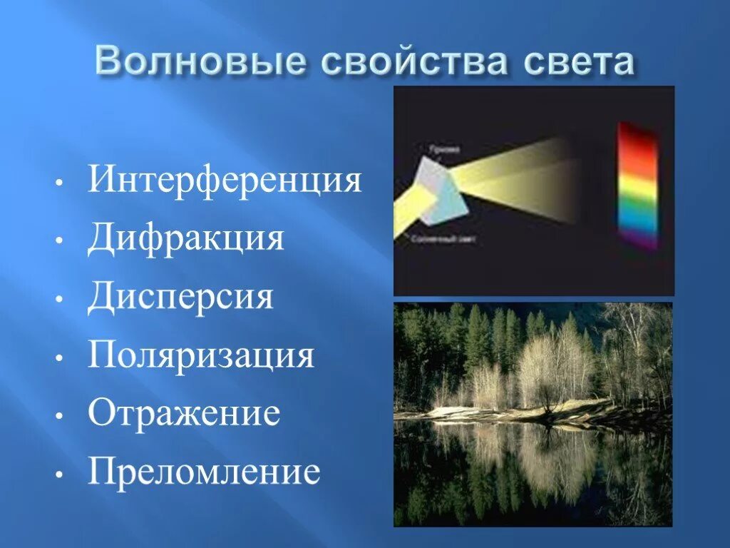 Волновые свойства света. Отражение преломление дифракция. Интерференция и волновые свойства света. Дифракция интерференция дисперсия поляризация.