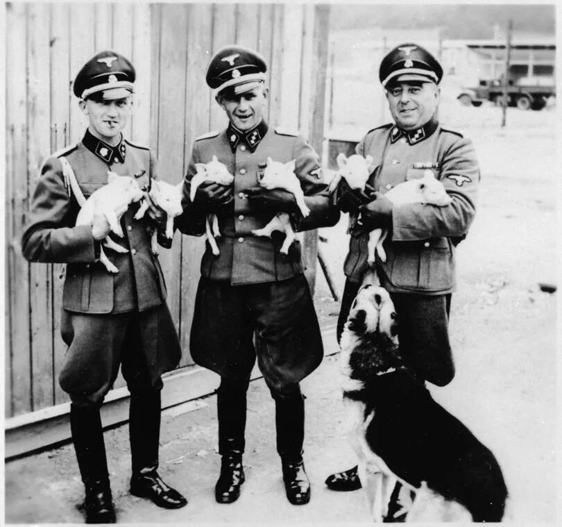 Немецкие солдаты с животными. Немец собака. Офицер СС С собакой.