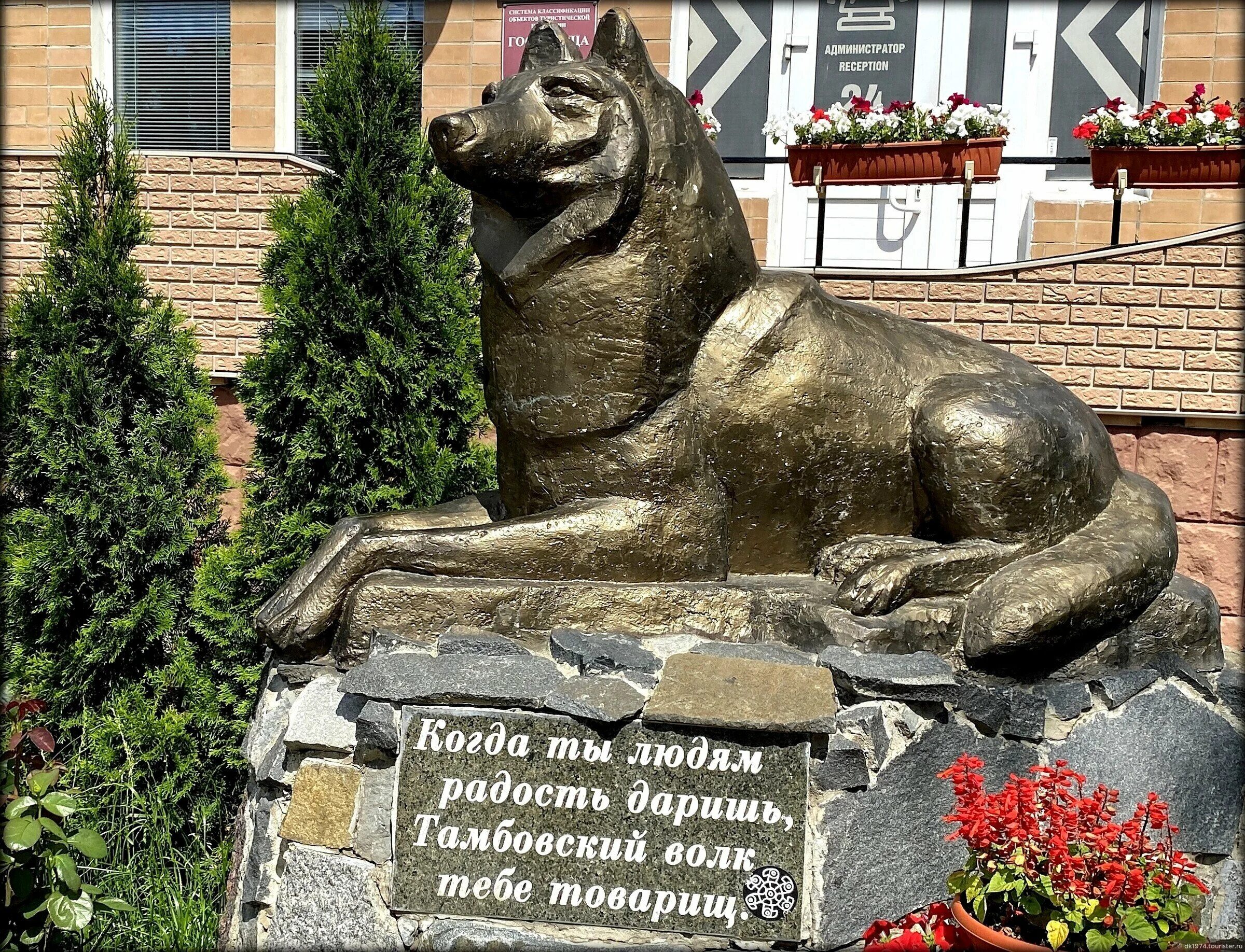 Памятник тамбовскому волку. Тамбовский волк скульптура в Тамбове. Памятник волку в Тамбове. Тамбовский волк Октябрьская 95б. Октябрьская 95 Тамбов памятник волку.