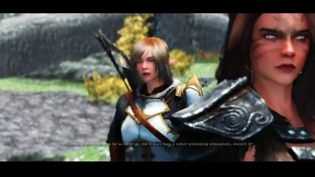 Skyrim se conversation camera. Alternative conversation camera skyrim se. скайрим мод alternate conversation camera se чёрные полосы. alternate conversation camera.