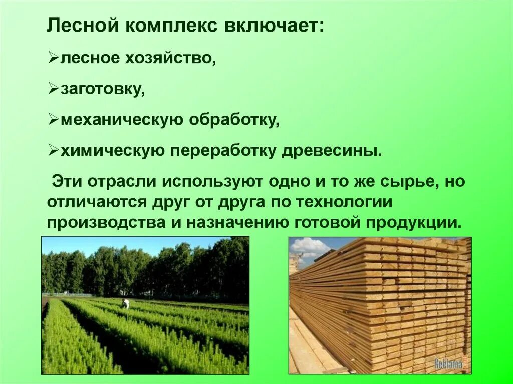 Организация использования лесов. Лесное хозяйство Лесной комплекс. Лесное хозяйство презентация. Лесной комплекс презентация. Лесная промышленность презентация.